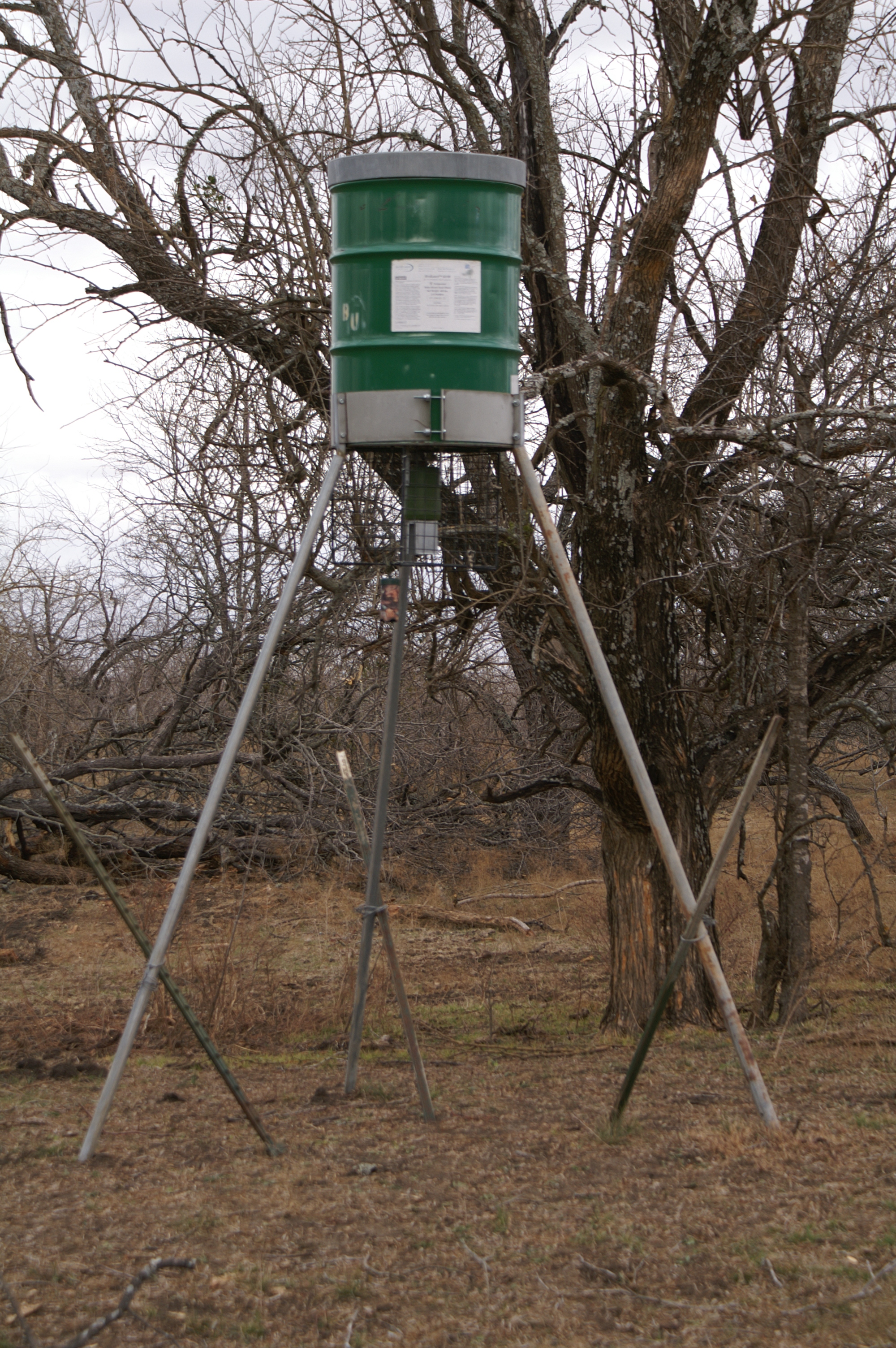 Deer Feeders